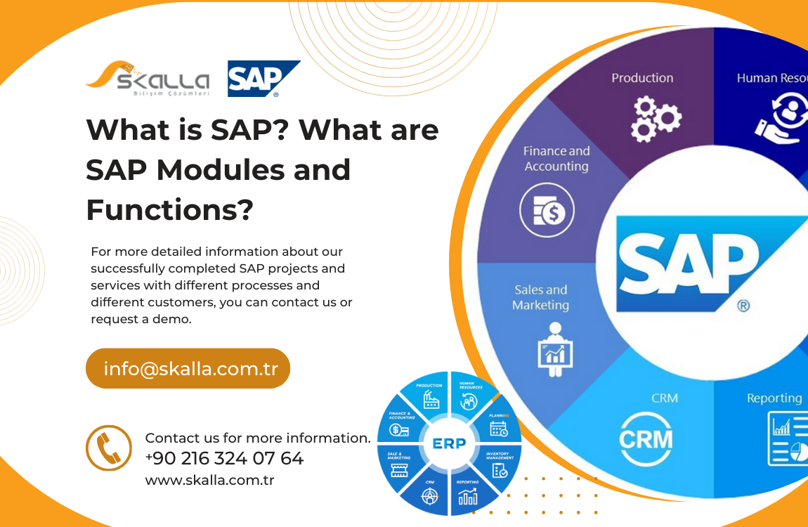 What is SAP? What are SAP Modules and Functions?